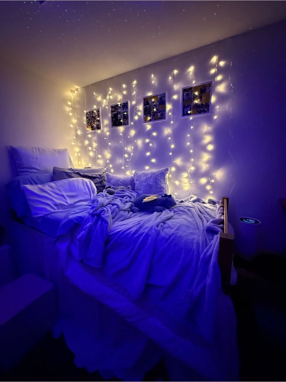 Twin xl bed essentials (dorm essentials)